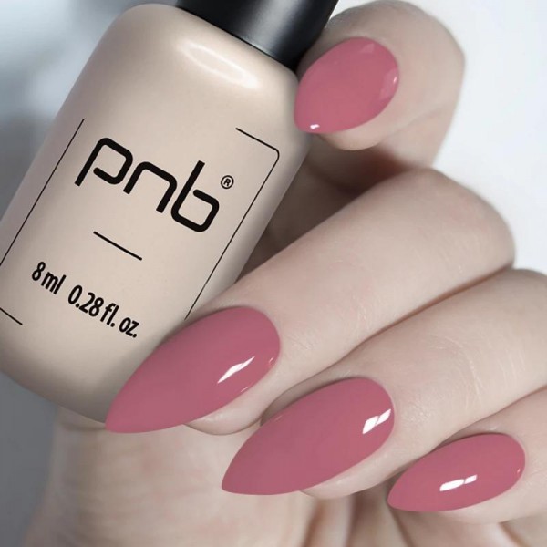 Гел лак PNB 8 мл 123